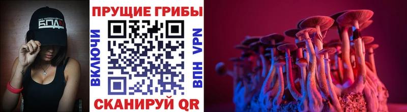даркнет сайт  Высоцк  Галлюциногенные грибы мицелий 